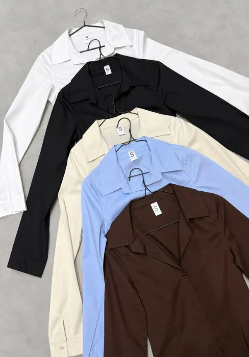 Alternative view of CAMISA ILDA
